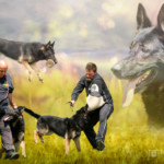 montage-photo-GuyBertrand_BR