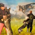 montage-photo-Jeany_BR