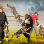 montage-photo-Paul_BR